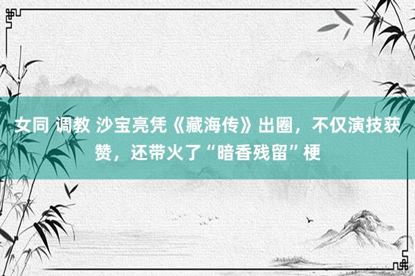 女同 调教 沙宝亮凭《藏海传》出圈，不仅演技获赞，还带火了“暗香残留”梗