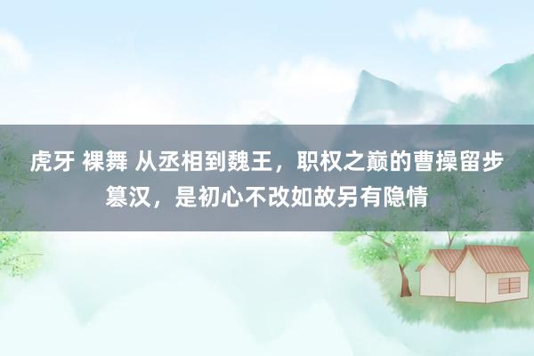 虎牙 裸舞 从丞相到魏王，职权之巅的曹操留步篡汉，是初心不改如故另有隐情