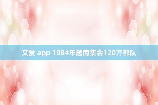 文爱 app 1984年越南集会120万部队