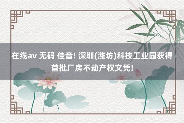 在线av 无码 佳音! 深圳(潍坊)科技工业园获得首批厂房不动产权文凭!