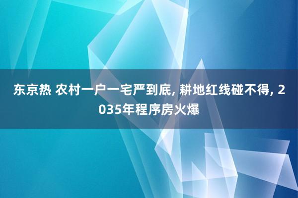东京热 农村一户一宅严到底， 耕地红线碰不得， 2035年程序房火爆