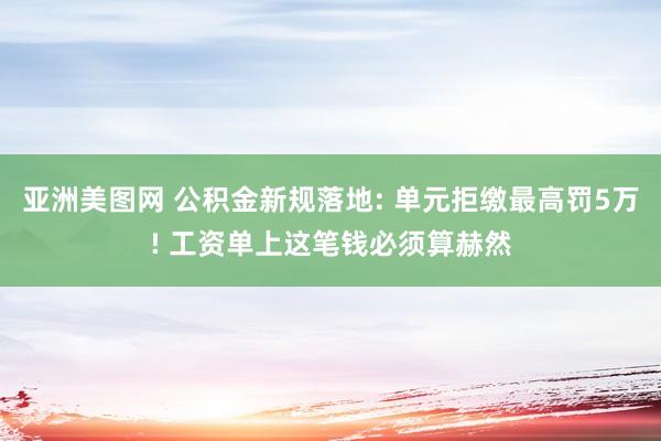 亚洲美图网 公积金新规落地: 单元拒缴最高罚5万! 工资单上这笔钱必须算赫然