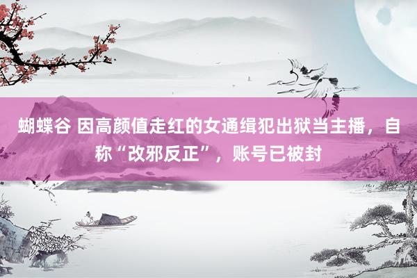 蝴蝶谷 因高颜值走红的女通缉犯出狱当主播，自称“改邪反正”，账号已被封
