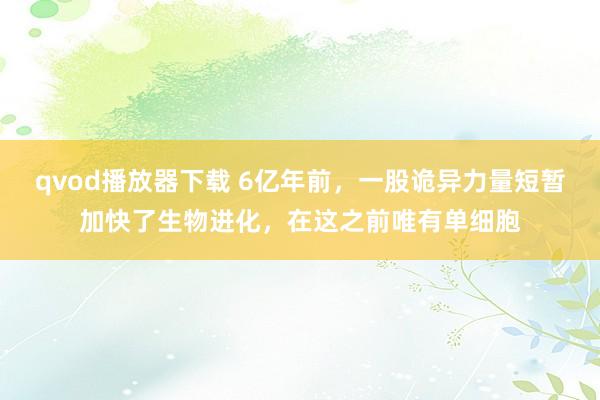 qvod播放器下载 6亿年前，一股诡异力量短暂加快了生物进化，在这之前唯有单细胞