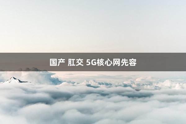 国产 肛交 5G核心网先容